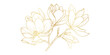 © abcvector - Golden magnolia flowers line art isolated on white background. Luxury magnolia floral design elements for invitation, wedding, wallpaper, print template, vector illustration