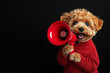 © ALL YOU NEED studio - cubby red dog wearing a red sweater and holding a red megaphone against a solid black color background, suitable for black friday advertising or banner design.