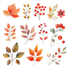 Wall Mural - A cute watercolor illustration set of autumn leaves in warm shades, paired with vibrant red berries and delicate fall flowers. This sticker-style design on a white background is perfect for seasonal