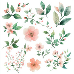 Wall Mural - A romantic watercolor floral clipart set with blooming flowers, slender branches, and fresh green leaves. The soft color palette on a white background makes it ideal for wedding designs and elegant