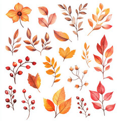 Wall Mural - A cute watercolor illustration set of autumn leaves in warm shades, paired with vibrant red berries and delicate fall flowers. This sticker-style design on a white background is perfect for seasonal