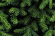 © premyuda - Christmas fir tree branches Background. Christmas pine tree wallpaper. Copy space. Generative AI