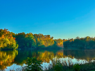 Trees With Autumn Colors Reflecting Into A Remote Lake