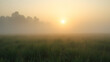 © fotoluigi868 - A soft blanket of fog covering a countryside field, with the morning sun gently breaking through, casting an ethereal glow.