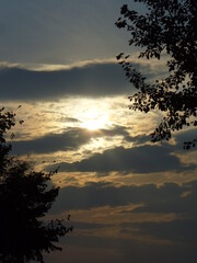 Natural evening sky with sun behind clouds and dark deciduous tree branches on summer time. Topics: natural environment, weather, meteorology, season, air space, vegetation, season