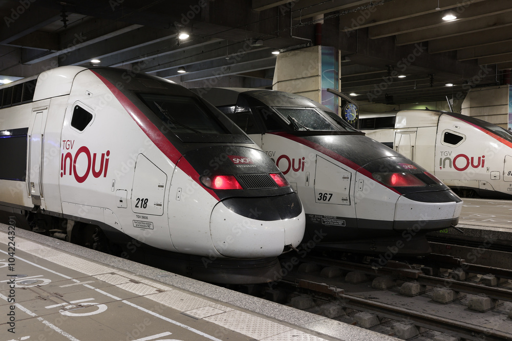 Paris France Octobre 2024 Train TGV INOUI De La SNCF La Gare De Paris France Octobre 2024 Train TGV INOUI De La SNCF La Gare De