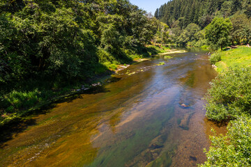 Wall Mural - Beautiful view of Alsea River in summer. Oregon, Pacific Northwest