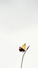 Sticker - Minimalistic Butterfly Silhouette: A delicate black and yellow butterfly perched on a slender stem against a light backdrop, ideal for nature themes.