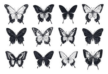 Wall Mural - Butterfly Silhouette Vector Set Featuring Various Elegant Designs Shapes And Sizes In Solid Black Color On White Background Ideal For Art And Craft Projects