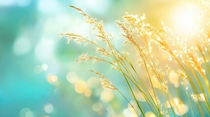 Wall Mural - Swaying grass blades illuminated by golden light with soft blue and green gradients evoking open air