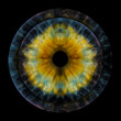 © Yevheniia - Close-up of a human iris with yellow, blue, and black tones on a black background. Macro photography for medical and anatomical concepts.