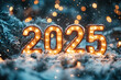 © Evhen Pylypchuk - A beautifully lit sign displaying the year 2025 stands out against a backdrop of snow-covered evergreen branches, creating a magical winter atmosphere with twinkling lights.