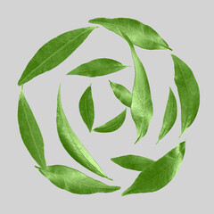 Sticker - Green leaves swirling in air on light grey background