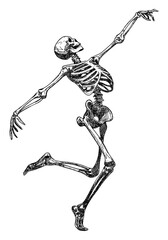 skeleton running isolated hand drawn sketch movement and grace dynamic dancing pose halloween card d