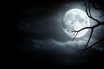 Wall Mural - a large moon is in the sky above a dark background