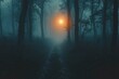 © Outkast - A Mysterious Path Through a Foggy Forest at Dusk