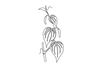 Wall Mural - Single continuous line drawing pile of healthy organic fresh betel leaves on branch agriculture logo. Mouth freshener utility concept for plants icon. One line draw graphic design vector illustration