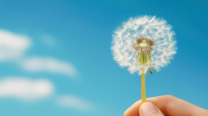 A hand delicately holds a white dandelion against a bright blue sky, showcasing the beauty of nature and simplicity.