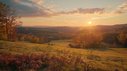 Poster - Golden Sunset Over Hilltop