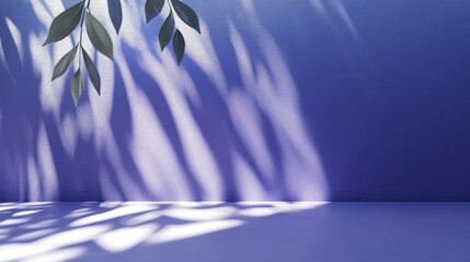 Wall Mural - A serene, minimalist scene featuring soft shadows and leaves against a blue backdrop.