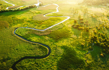 Aufkleber - Breathtaking view of a winding river flowing through a swampy area in sunlight. Aerial photography from top to bottom.