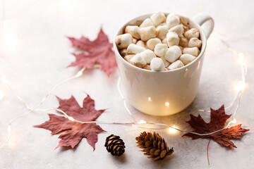 Wall Mural - Cup of hot chocolate on white background