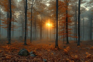 Wall Mural - Sun Shining Through Foggy Autumn Forest