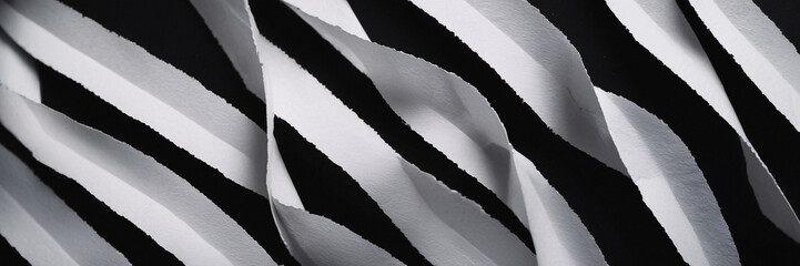 Canvas Print - Abstract Black and White Stripes
