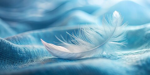 Wall Mural - A Delicate White Feather Rests Upon a Soft Blue Fabric, Capturing the Essence of Light and Airiness