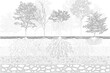 © feipco - forest section, soil layer landscape drawing pattern. texture interior background line art. set of graphics elements drawing for architecture and landscape design. cad pattern