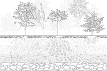 forest section, soil layer landscape drawing pattern. texture interior background line art. set of g