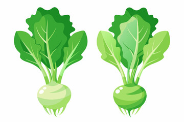 Canvas Print - Cartoon kohlrabi vector alphabet vegetable