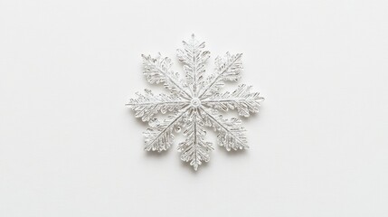 Canvas Print - A solitary, intricately formed snowflake resting against a white background, showcasing the delicate beauty of winter.