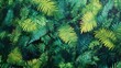 © Lensora - Lush Green Fern Pattern