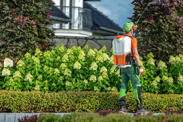 Wall Mural - Landscape Technician Applying Pesticide in a Garden Surrounded by Hydrangeas on a Sunny Day