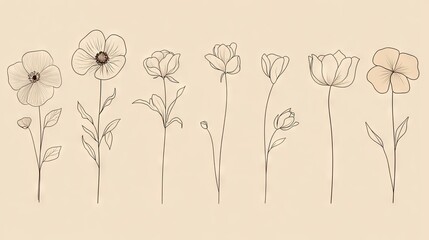 Wall Mural - minimalist vector set of continuous line drawings of different flowers, capturing botanical beauty w