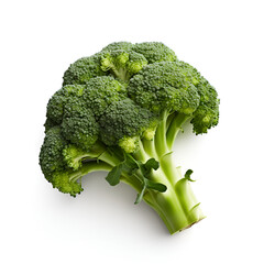 Fresh broccoli isolated on a white background