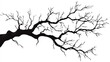 © Royal - Tree Branch Silhouette on White Background