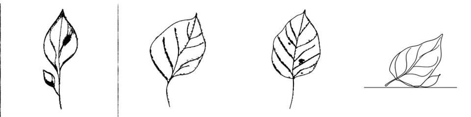Leinwandbilder - Graphite leaf icon with modern doodle concept hand drawn
