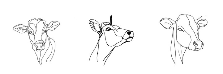 Leinwandbilder - Continuous line drawing of a cow head. Horned cow portrait on a white background with minimal black lines.