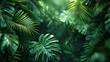 © Farkhanda - Tropical landscape. Large leaves of tropical plants. Close up. Tropical forest plants. High quality illustration.