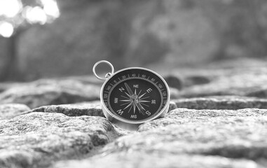 Wall Mural - classic navigation compass on natural background
