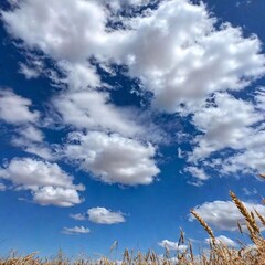 a wide shot of a clear, bright midday sky over a rural landscape, captured at eye level. the scene f