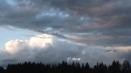 Wall Mural - Large and colorful storm clouds pass across the sky over evergreen forest trees, time lapse.