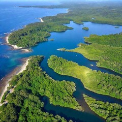 Wall Mural - an aerial view of a large ocean bay with a network of winding inlets and estuaries. Show the interplay of different water depths and the lush vegetation lining the shore