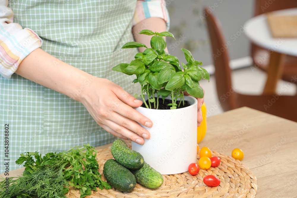 Woman with basil plant and vegetables in kitchen