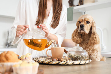 Wall Mural - Beautiful young woman and cute Cocker Spaniel dog pouring green tea into cup in kitchen at home