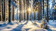 © Sayfar - Close-Up winter forest landscape with snow covered trees