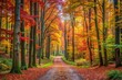© Latsamee - Scenic forest path with colorful trees in background