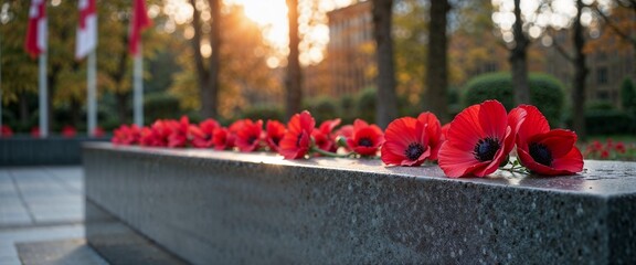 Red poppies laid on a memorial stone, peaceful mood, during sunset in an urban park